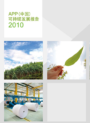 2010可持续发展报告